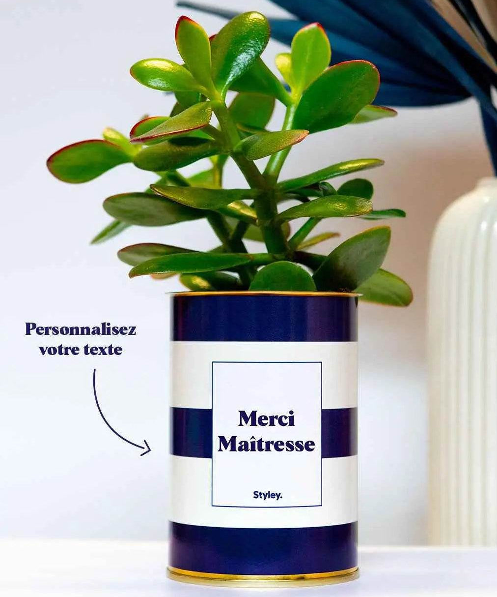 Cactus Cannes - Personnalisable