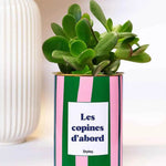 Les copines d'abord - pot à rayures - Plante Haworthia varié