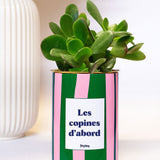 Les copines d'abord - pot à rayures - Plante grasse