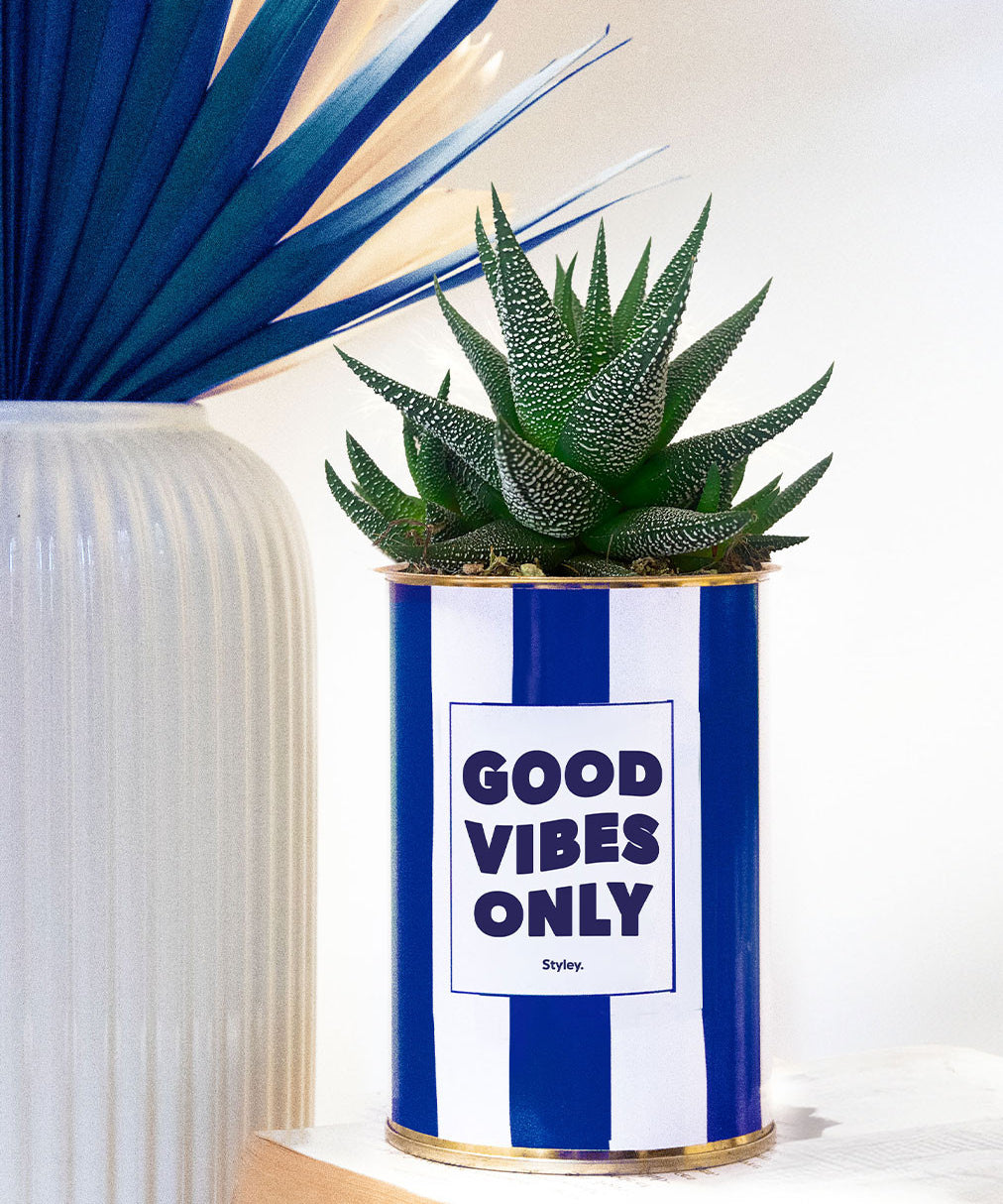 Good Vibes Only - pot à rayures - Plante grasse