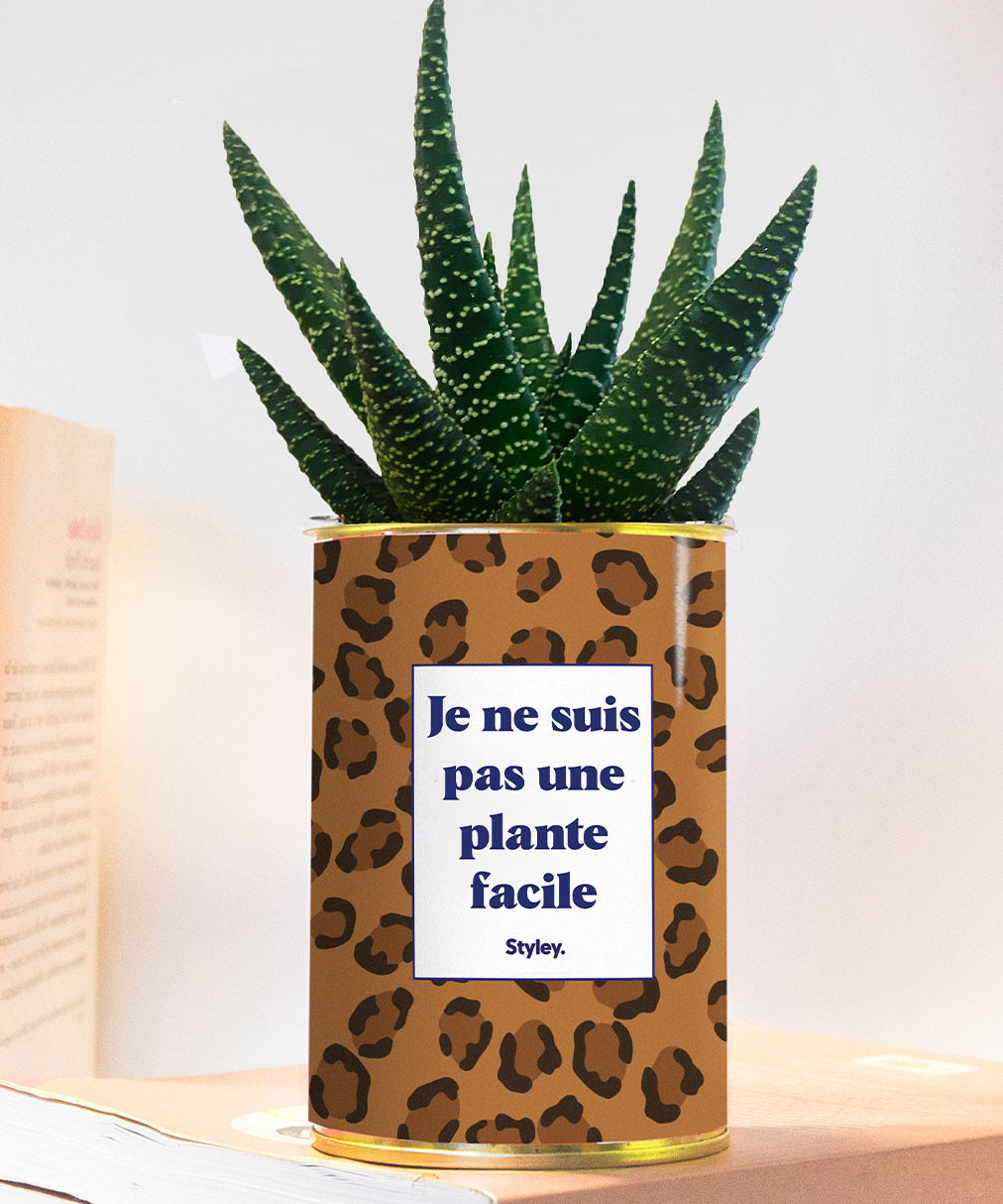 Je ne suis pas une plante facile - thème Léopard - Plante grasse