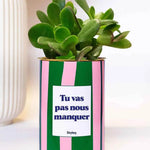Tu vas pas nous manquer - Plante Haworthia varié