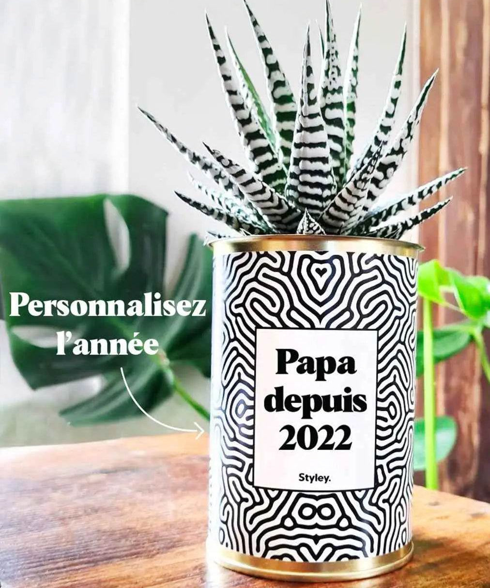 Papa depuis, année personnalisable - Plante Haworthia varié