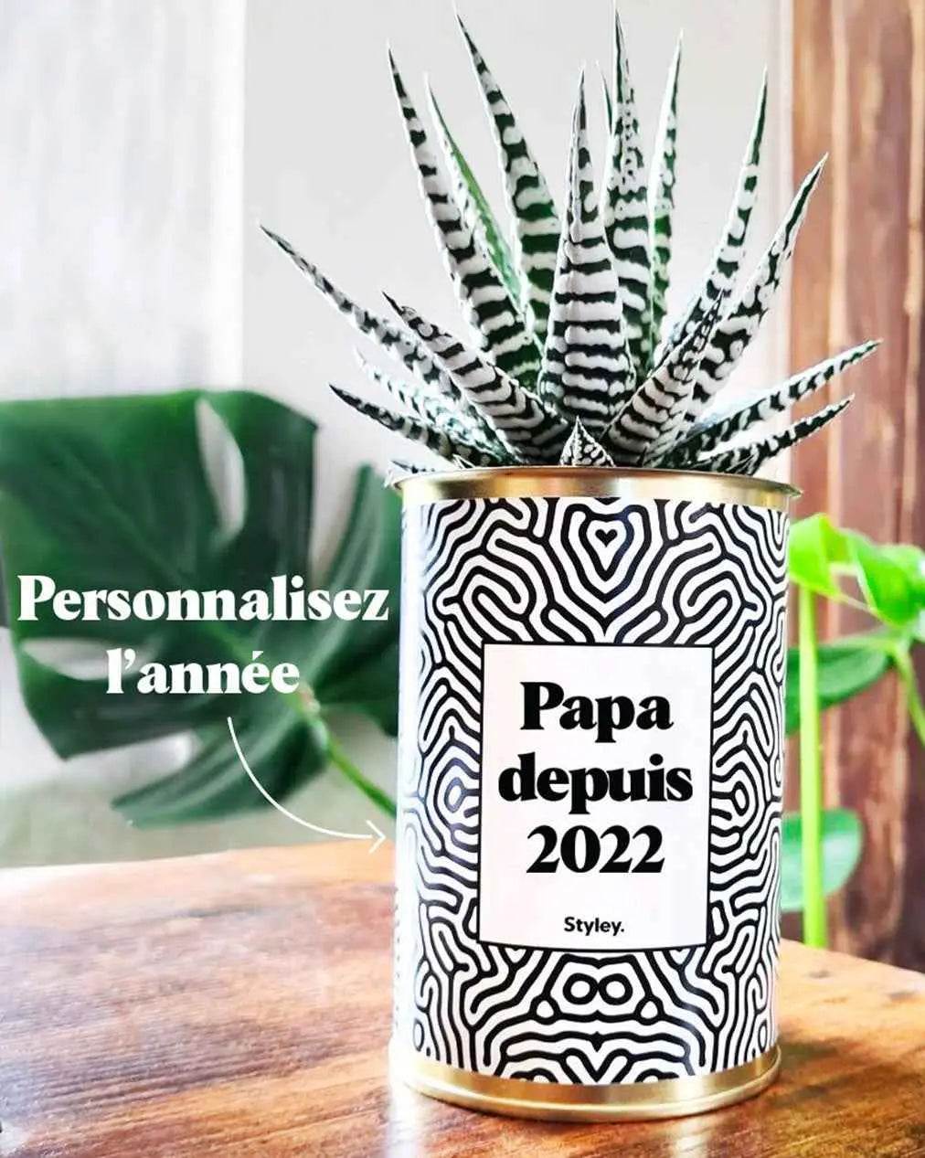 Papa depuis, année personnalisable - Plante Haworthia varié