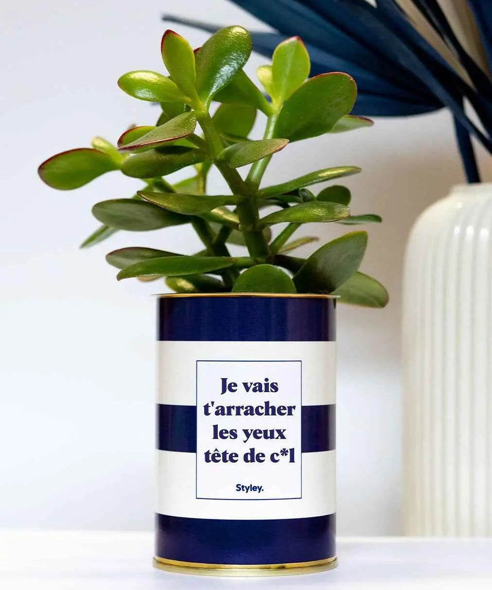 Je vais t'arracher les yeux tête de cul - Cactus