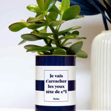 Je vais t'arracher les yeux tête de cul - Plante Haworthia varié