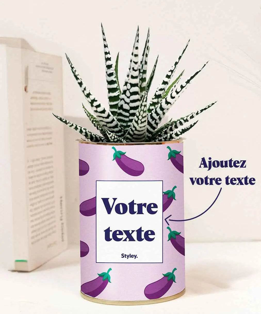 Aubergine - Plante Personnalisable Haworthia varié
