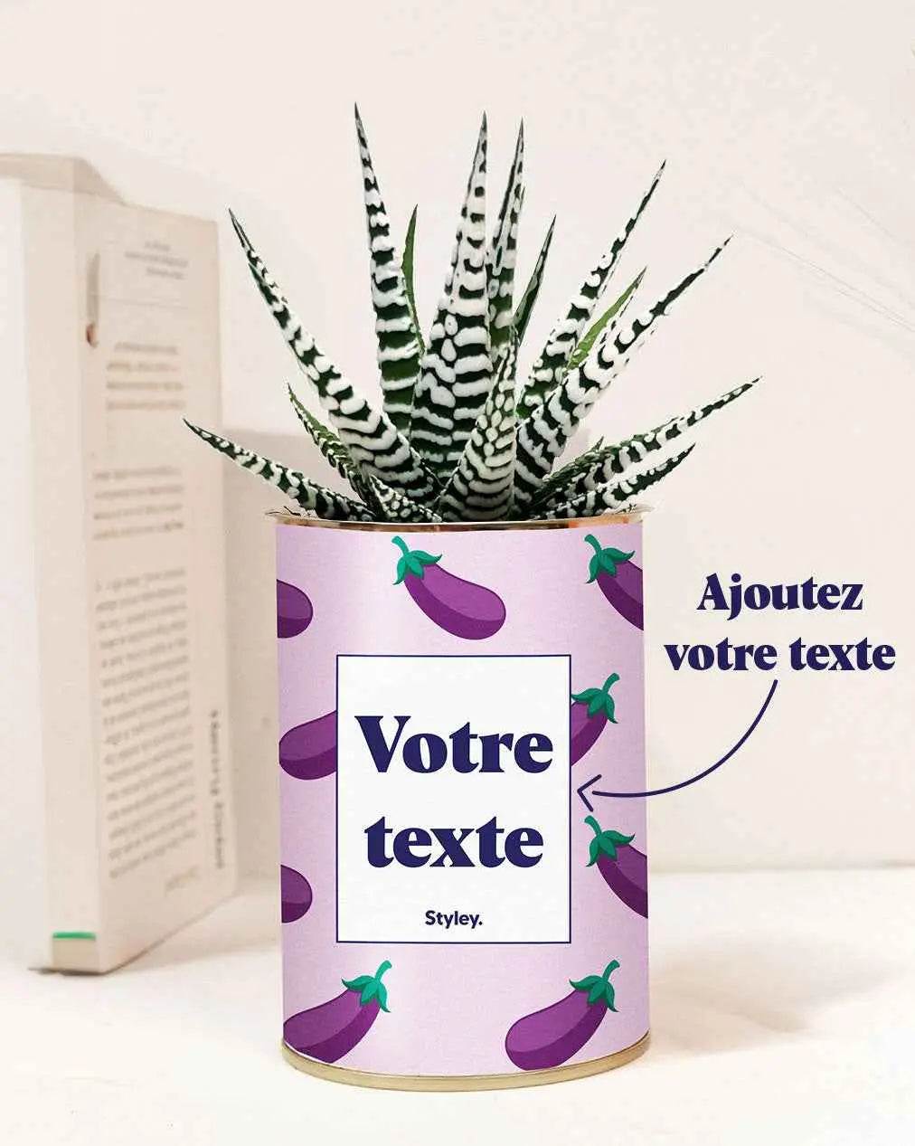Aubergine - Plante Personnalisable Haworthia varié
