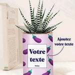 Aubergine - Plante Personnalisable Haworthia varié