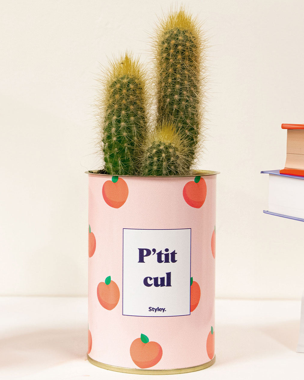P'tit cul - Cactus