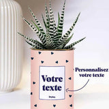 Coeurs poudrés - Plante Personnalisable Haworthia varié