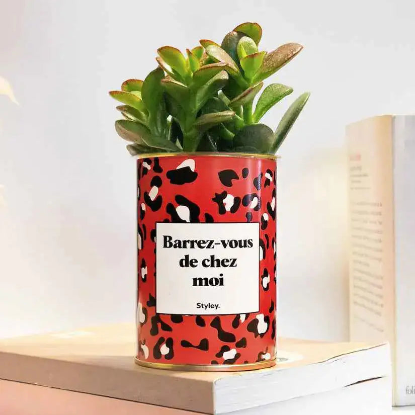 Barrez-vous de chez moi - Plante