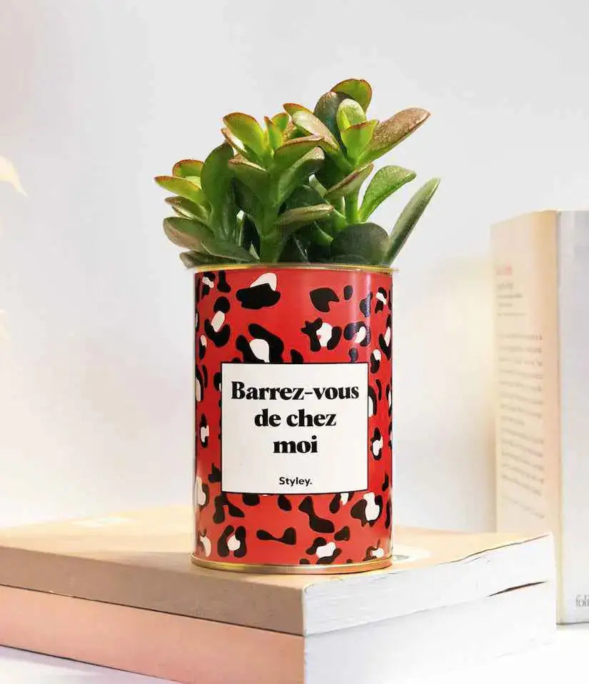 Barrez-vous de chez moi - Plante