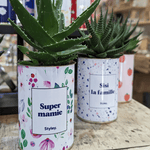 Super mamie - Plante