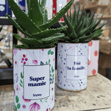 Super mamie - Plante