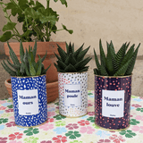 Maman ours - Plante