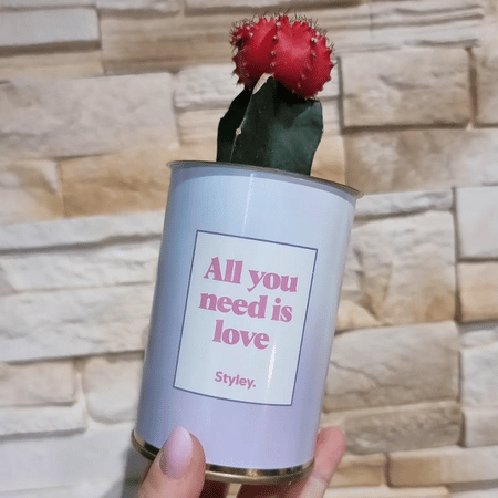 All you need is love - Plante