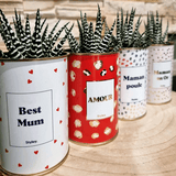 Amour - Plante - Finitions gold