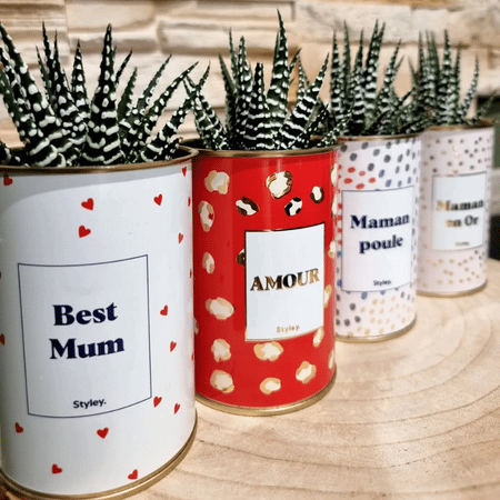Amour - Plante - Finitions gold