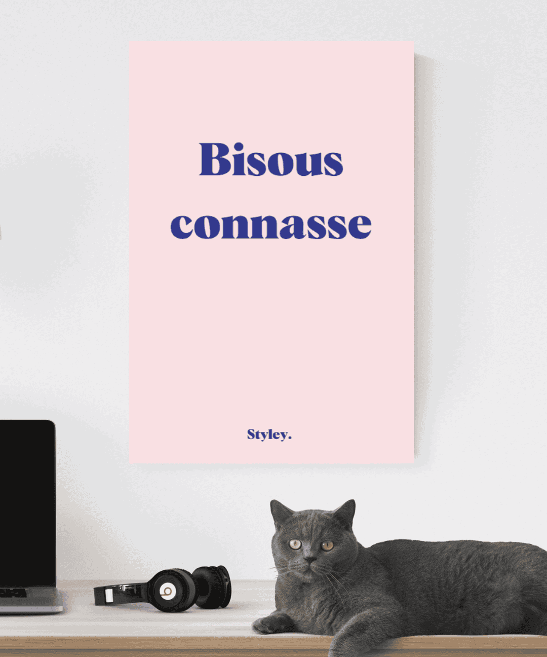 Bisous connasse - Affiche Affiche seule