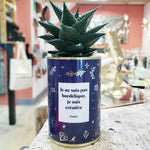 1 Plante Surprise par Mois