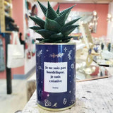 1 Plante Surprise par Mois