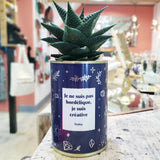 1 Plante Surprise par Mois