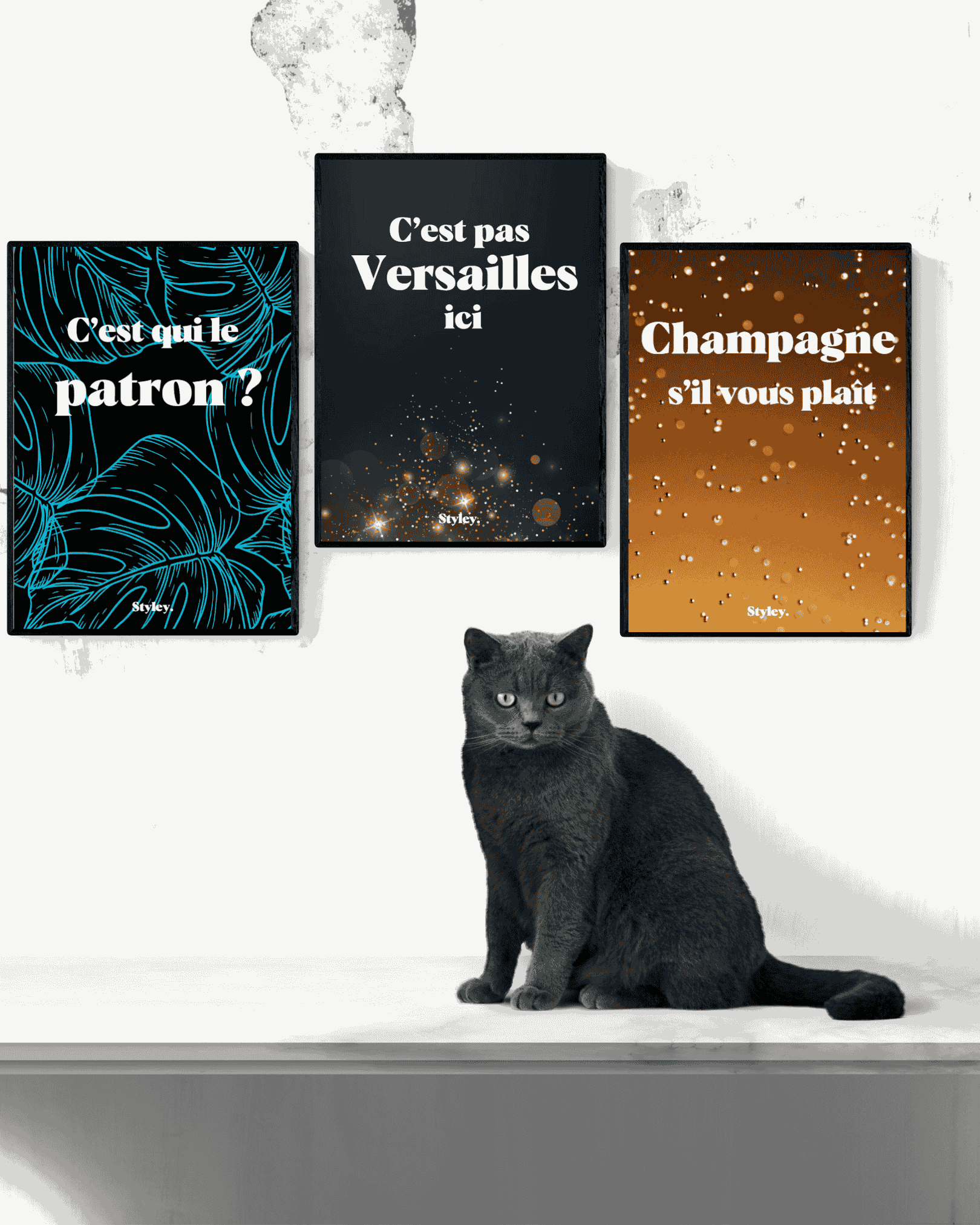 C'est pas Versailles ici - Affiche