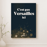 C'est pas Versailles ici - Affiche
