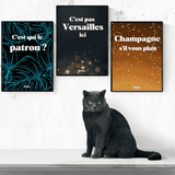 C'est pas Versailles ici - Affiche