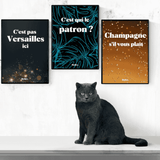 C'est qui le patron ? - Affiche