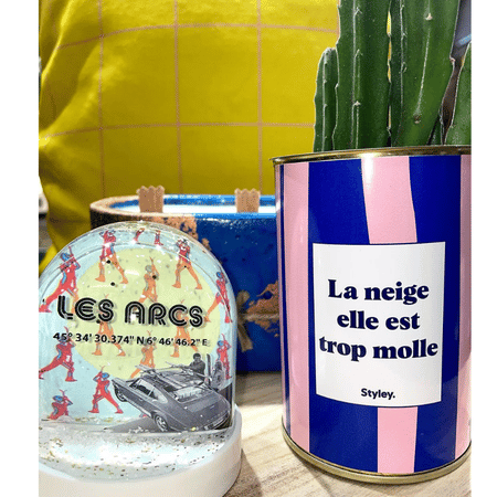 Cactus Parme - Plante Personnalisable