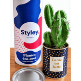 La vie est belle - Plante - Finitions Gold