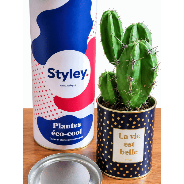 La vie est belle - Plante - Finitions Gold
