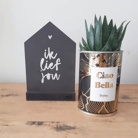 Ciao Bella - Plante - Finitions Gold
