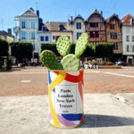 Plante Paris, London, New York personnalisable - Cactus