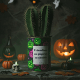 Friandises ou piqûres - Cactus