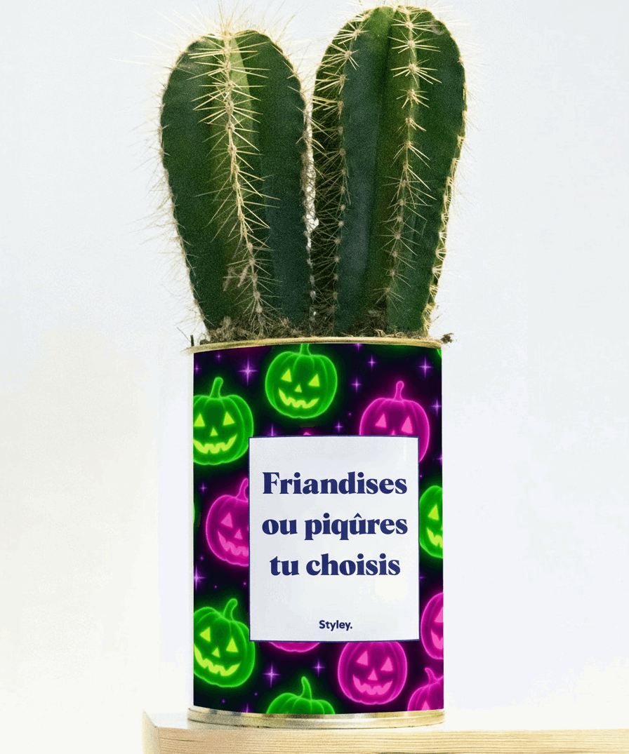 Friandises ou piqûres - Cactus