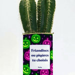 Friandises ou piqûres - Cactus