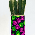 Friandises ou piqûres - Cactus