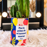 Pas la peine de m'arroser morue - Plante en pot