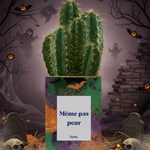 Même pas peur - Cactus