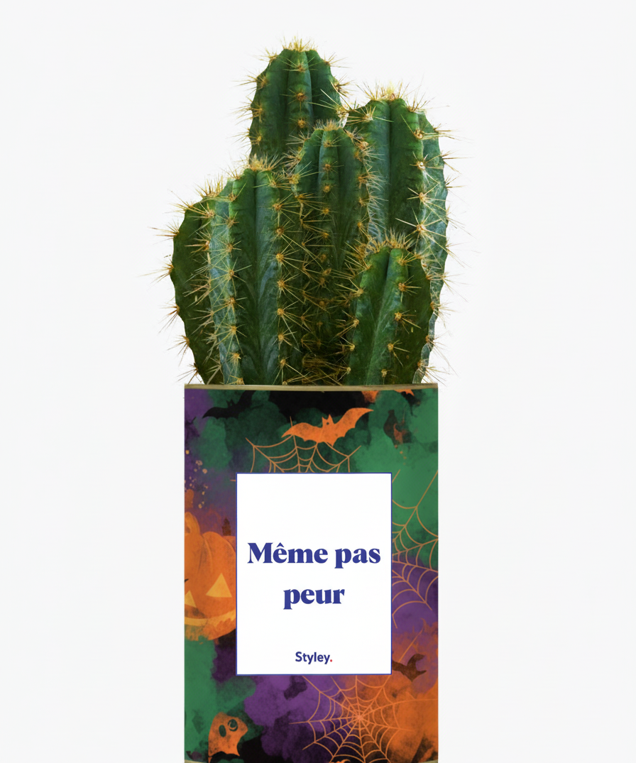 cactus pour halloween