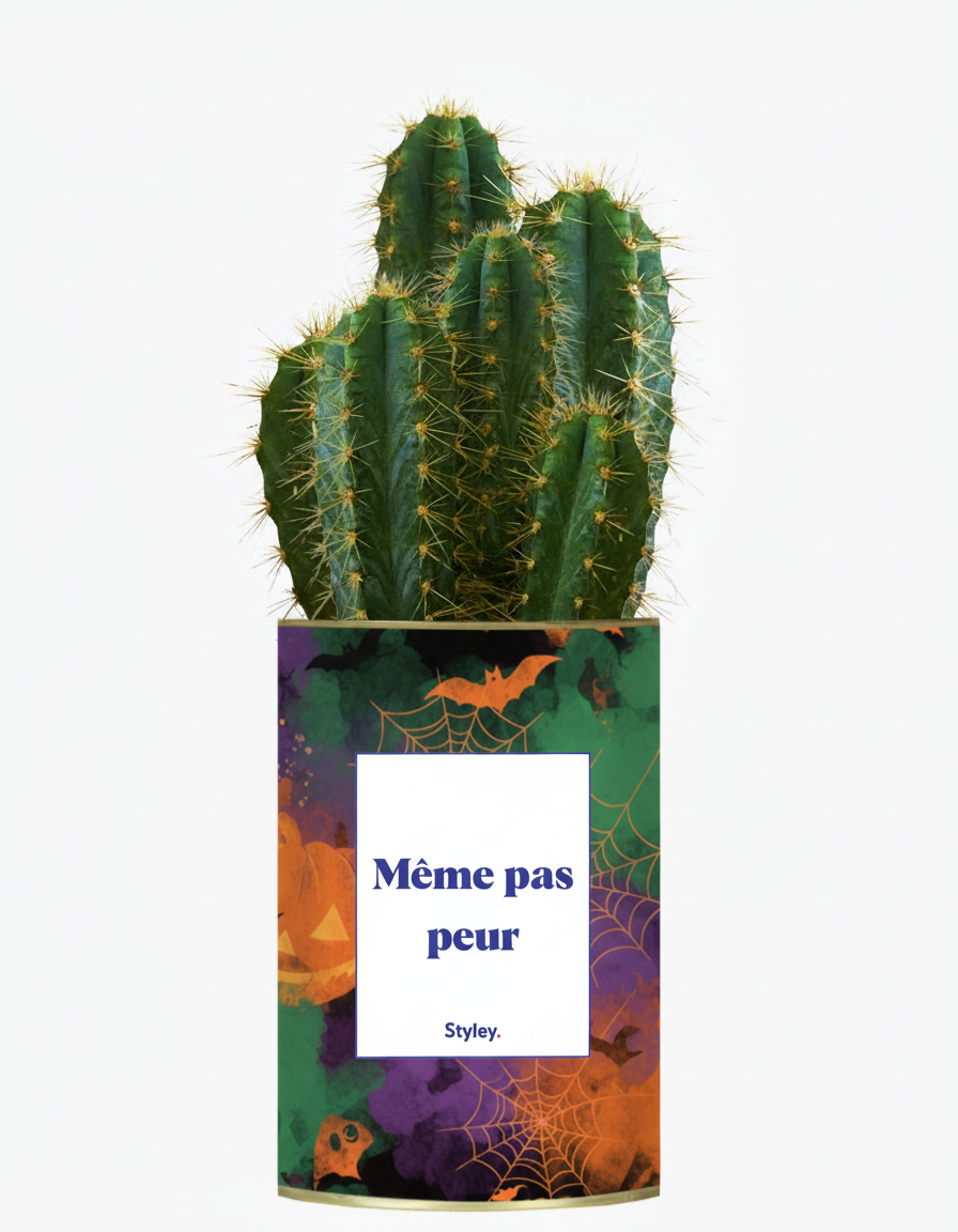 cactus pour halloween