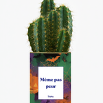 cactus pour halloween