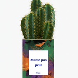 cactus pour halloween