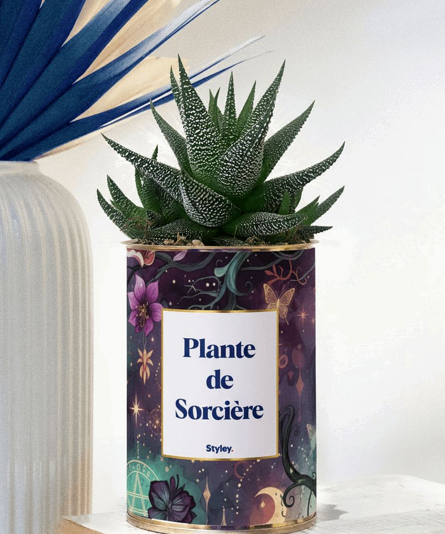 Plante de Sorcière