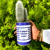 Je pique comme papa - Plante