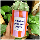Je t'aime plus que prévu - Plante