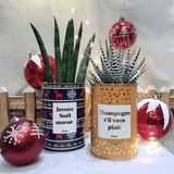Joyeux Noël Morue - Plante